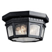 Courtyard 12.25" Outdoor Ceiling Light, Black