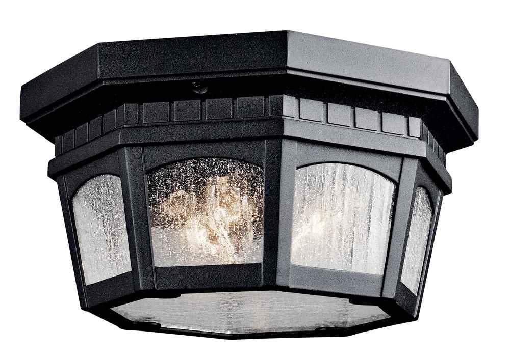 Courtyard 12 in. Outdoor Flush Mounts Black Finish - Bees Lighting