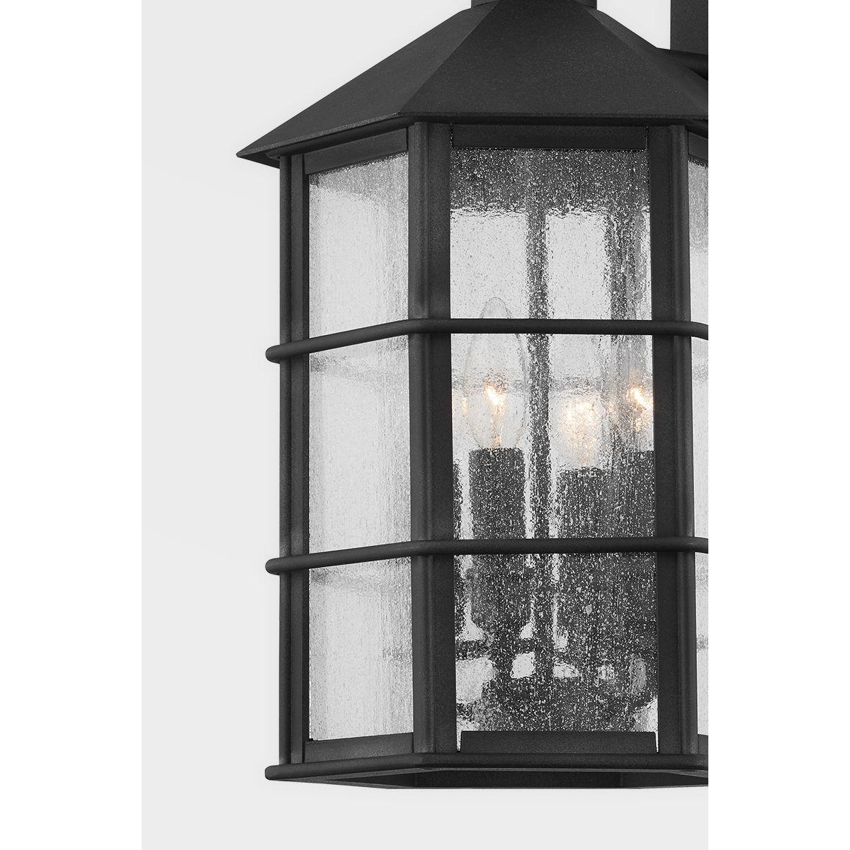 LAKE COUNTY 21 In. 4 Lights Outdoor Wall Lantern Iron Finish - Bees Lighting