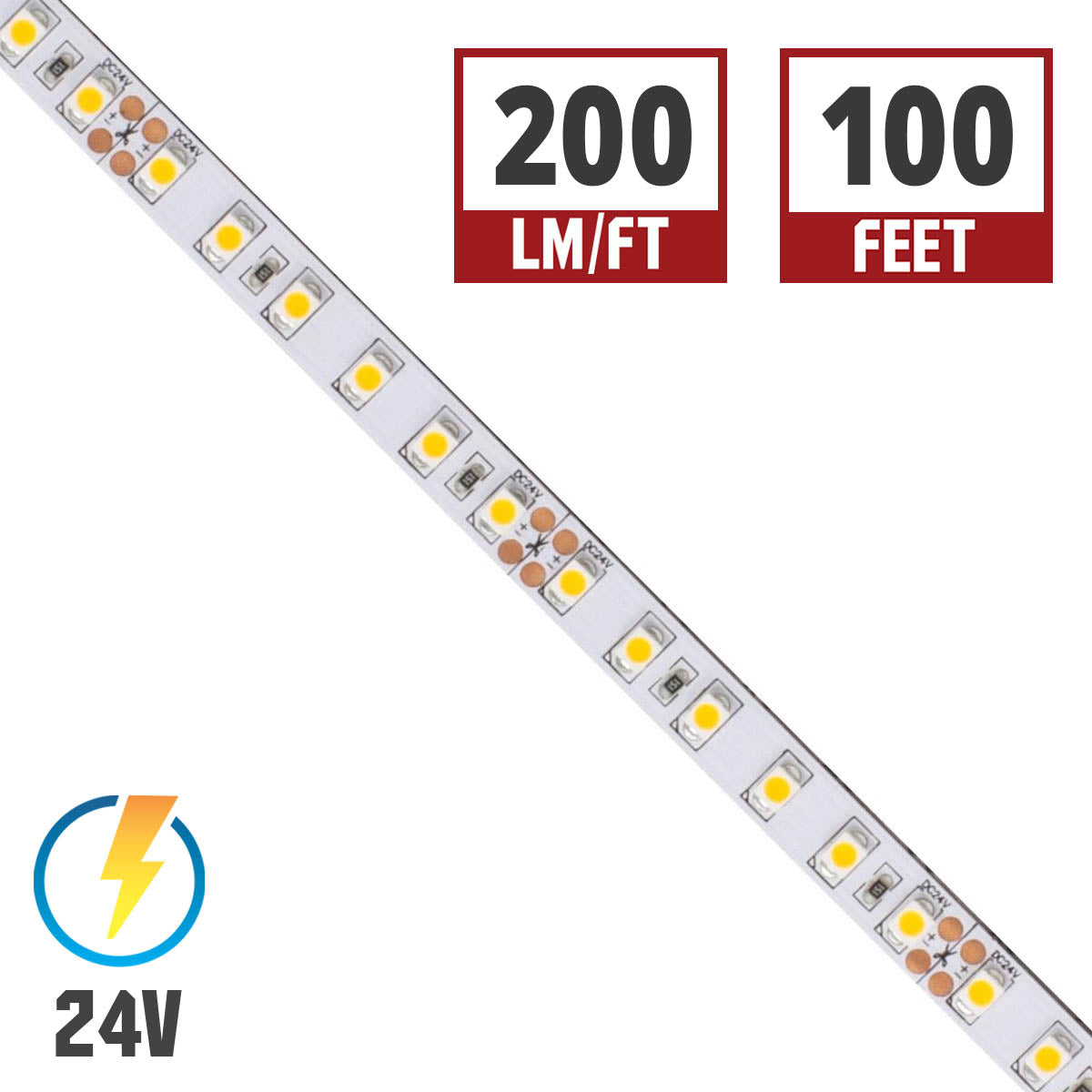 BLAZE LED Strip Light, 100ft Reel, 2700K, 233 Lumens per Ft, 24V