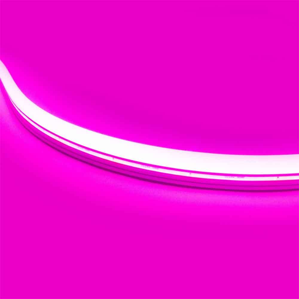 16ft Neon Blaze Flexible LED Lighting, Pink, 24V, Top Bending - Bees Lighting