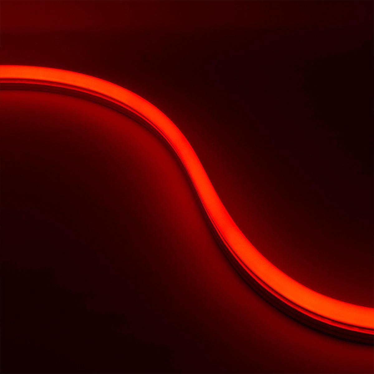 16ft Neon Blaze Flexible LED Lighting, Red, 24V, Top Bending - Bees Lighting