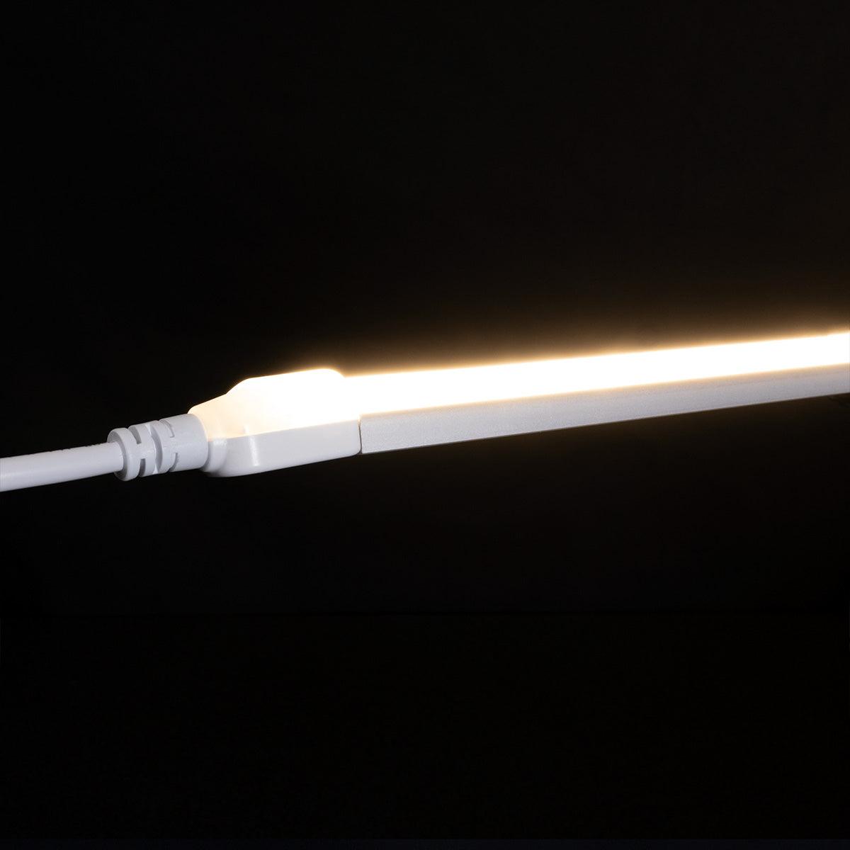 65ft Neon Blaze Flexible LED Lighting, 6300K, 24V, Top Bending - Bees Lighting