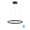 Groove 24 in. LED Pendant Light Selectable CCT Black finish - Bees Lighting