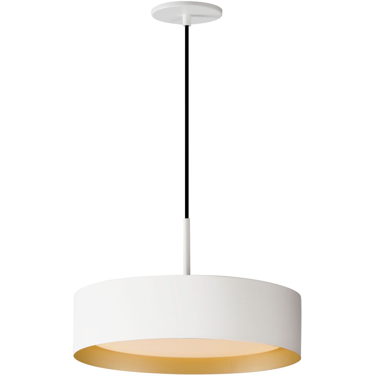 Echo 16 in. LED Pendant Light White finish with Gold interior - Bees Lighting