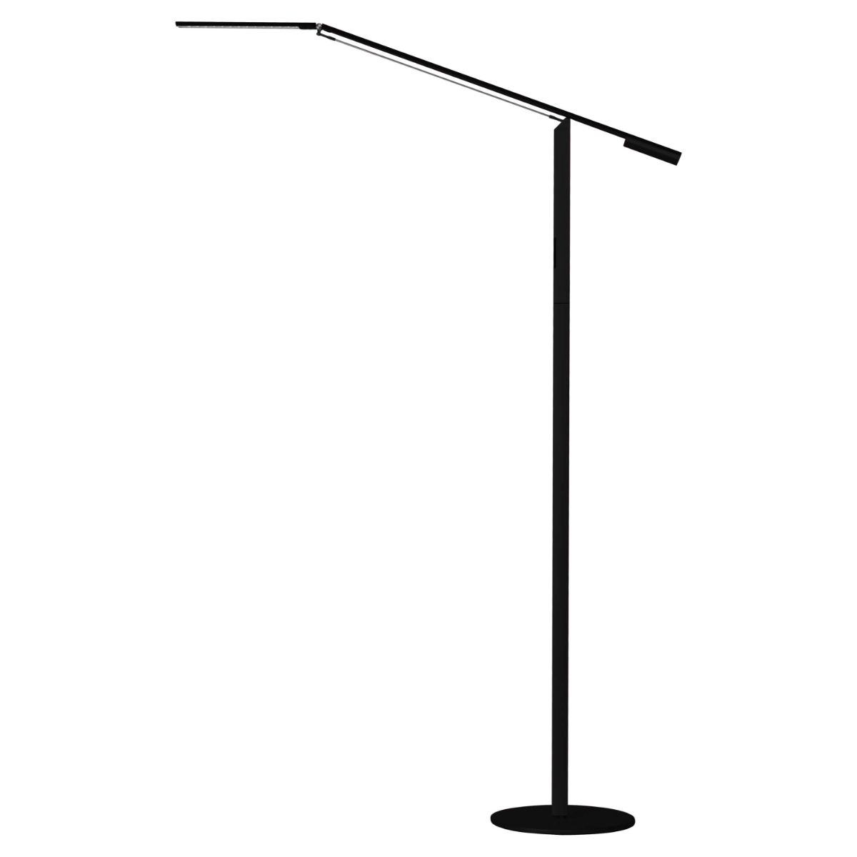 Equo Black Contemporary Cool White LED Floor Lamp - Bees Lighting