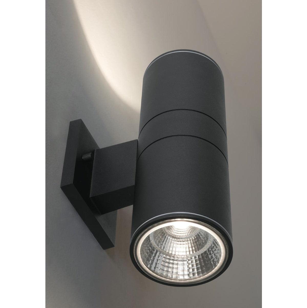 Everly 12 in. LED Outdoor Wall Light 120-277V, Selectable CCT Black - Bees Lighting