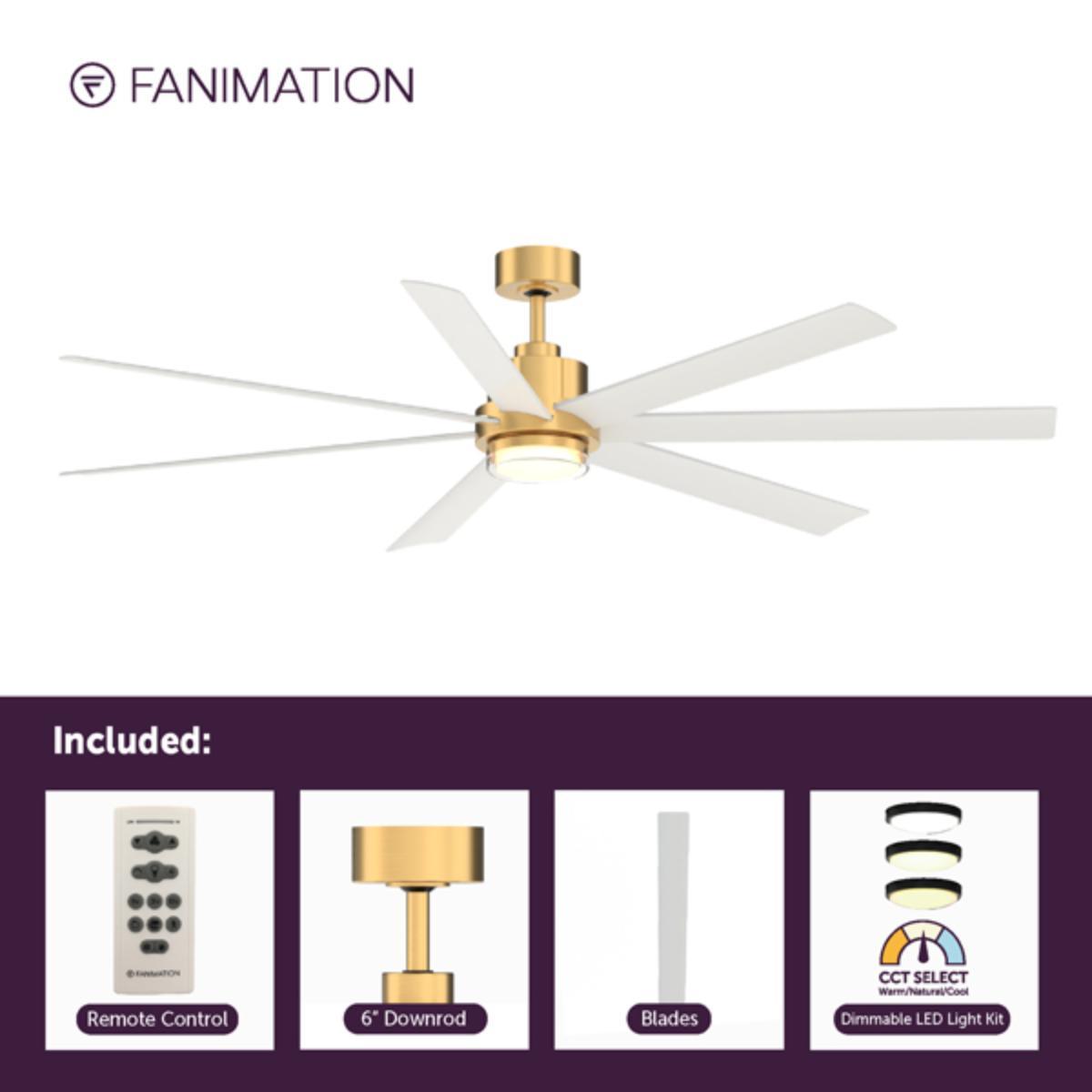 Pendry 72 inch Indoor/Outdoor Ceiling Fan with Remote, Brushed Satin Brass with Matte White Blades - Bees Lighting
