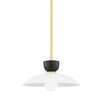 Whitley 14 in. Pendant Light Aged Brass Finish - Bees Lighting