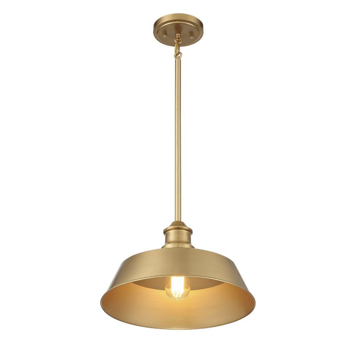 Meridian 14 in Pendant Light - Bees Lighting