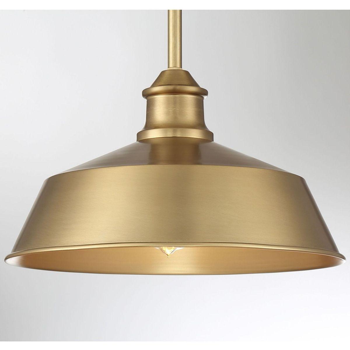 Meridian 14 in Pendant Light - Bees Lighting