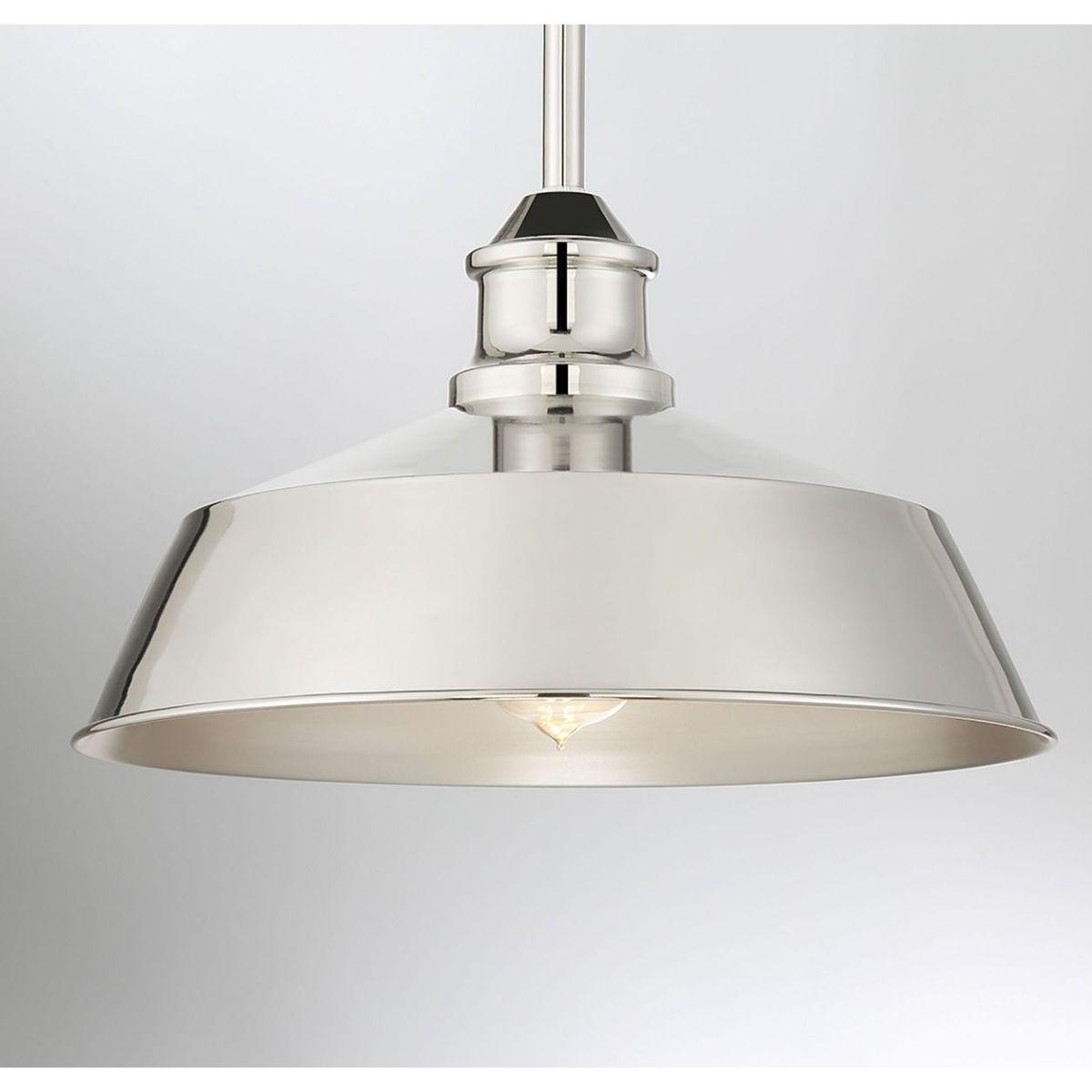 Meridian 14 in Pendant Light - Bees Lighting