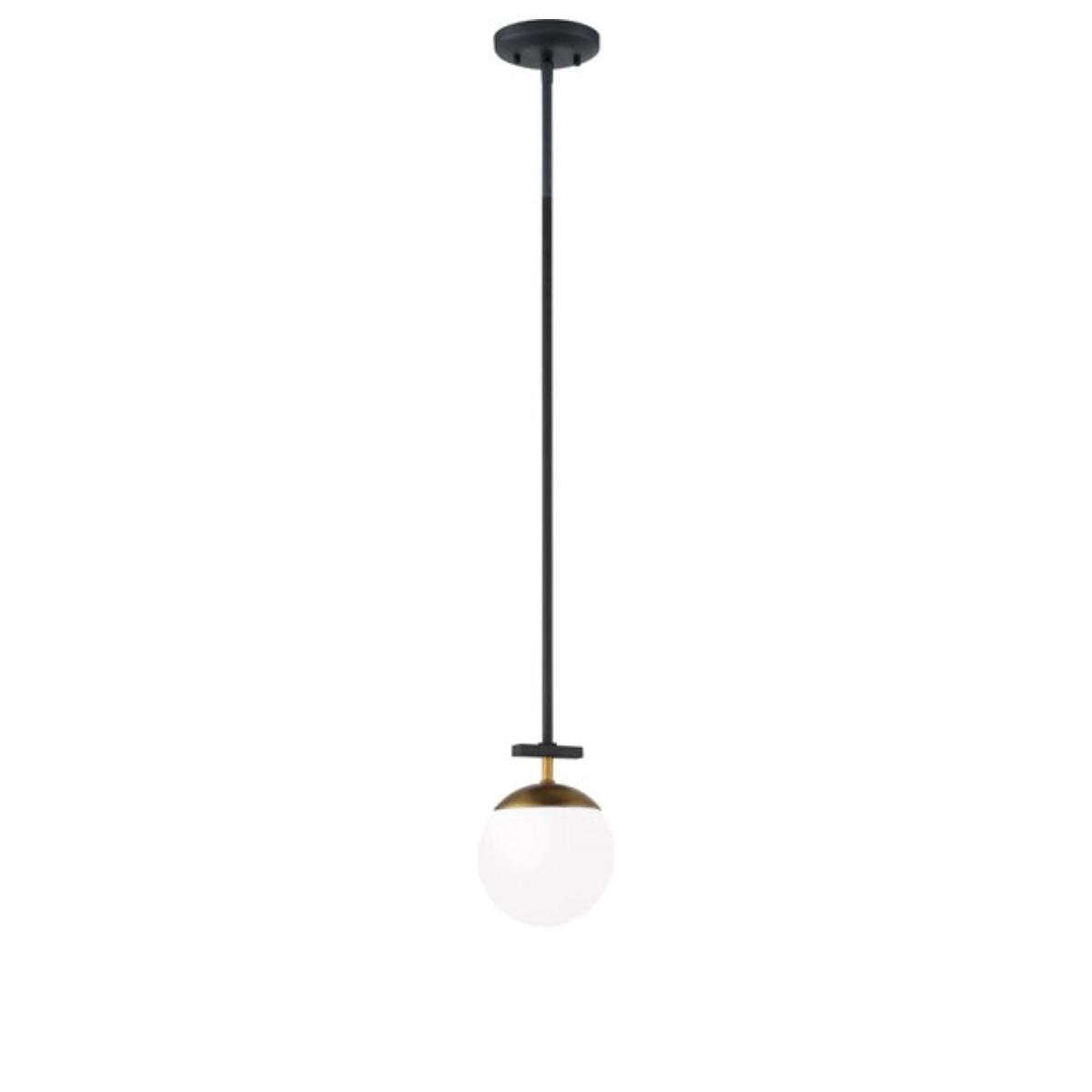 Alluria 6 in. Pendant Light Black & Gold Finish - Bees Lighting