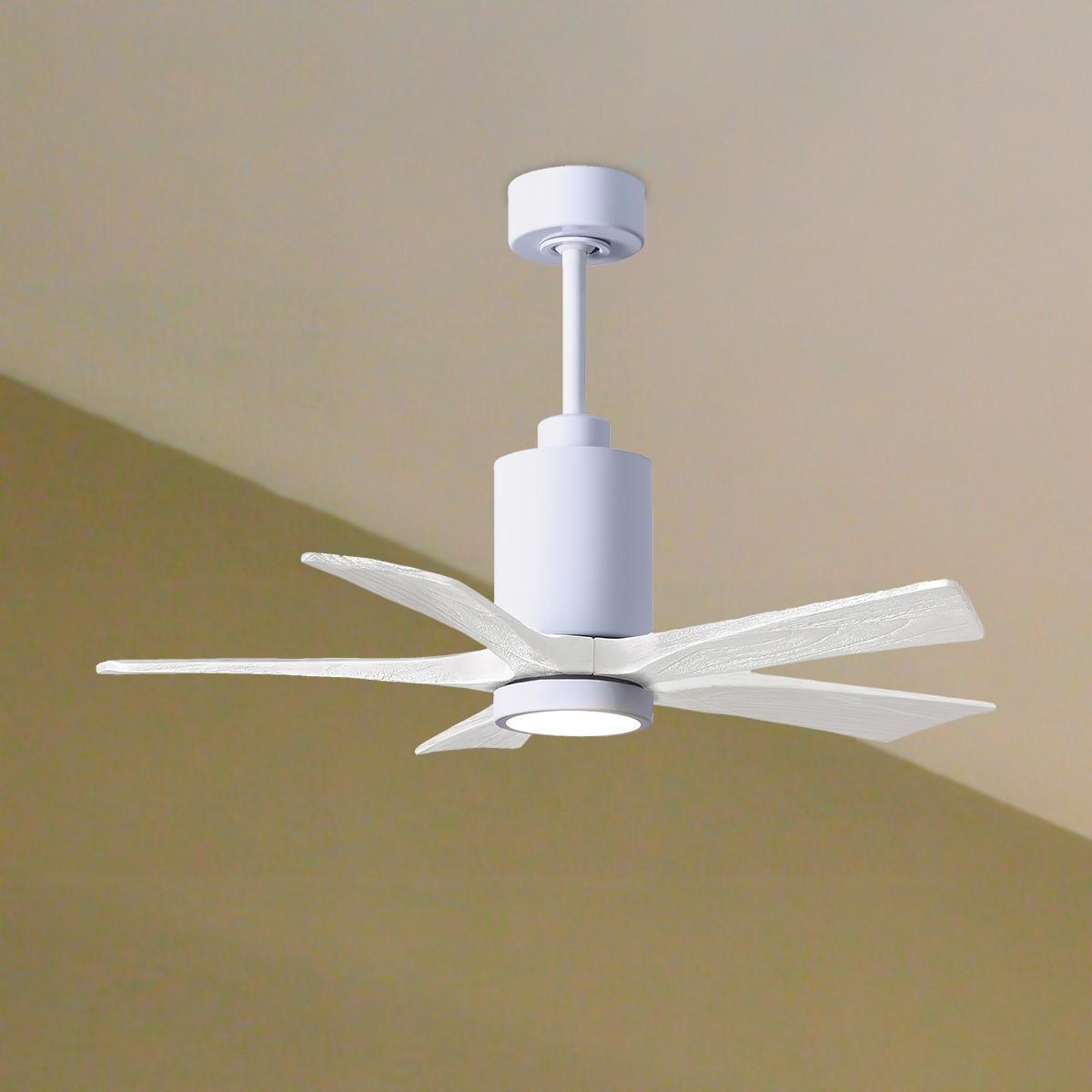 Patricia 5-Blade 42 Inch White LED Ceiling Fan with Remote - Bees Lighting