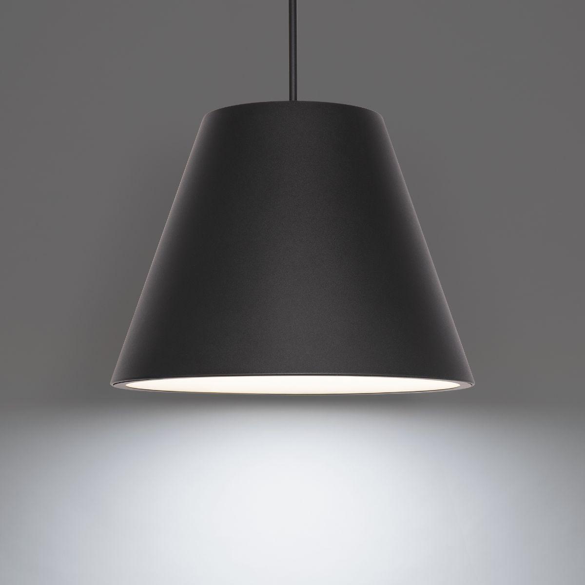 Myla 20 In. LED Outdoor Pendant Light 4000K Black finish - Bees Lighting