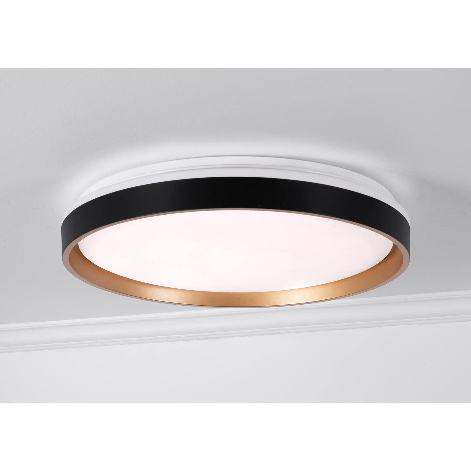 Rana 19'' LED Flush Mount Light, Black Finish