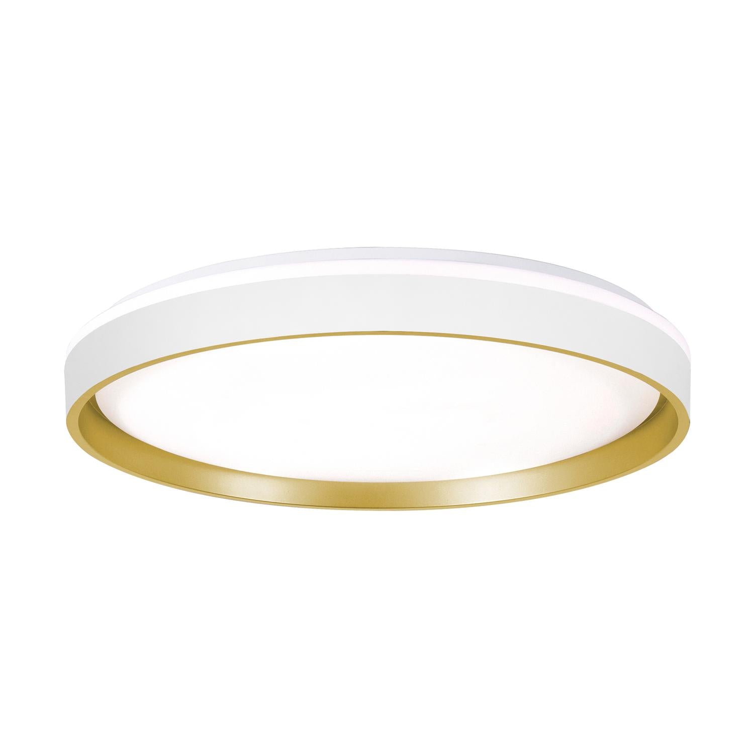 Rana 19'' LED Flush Mount Light, White Finish