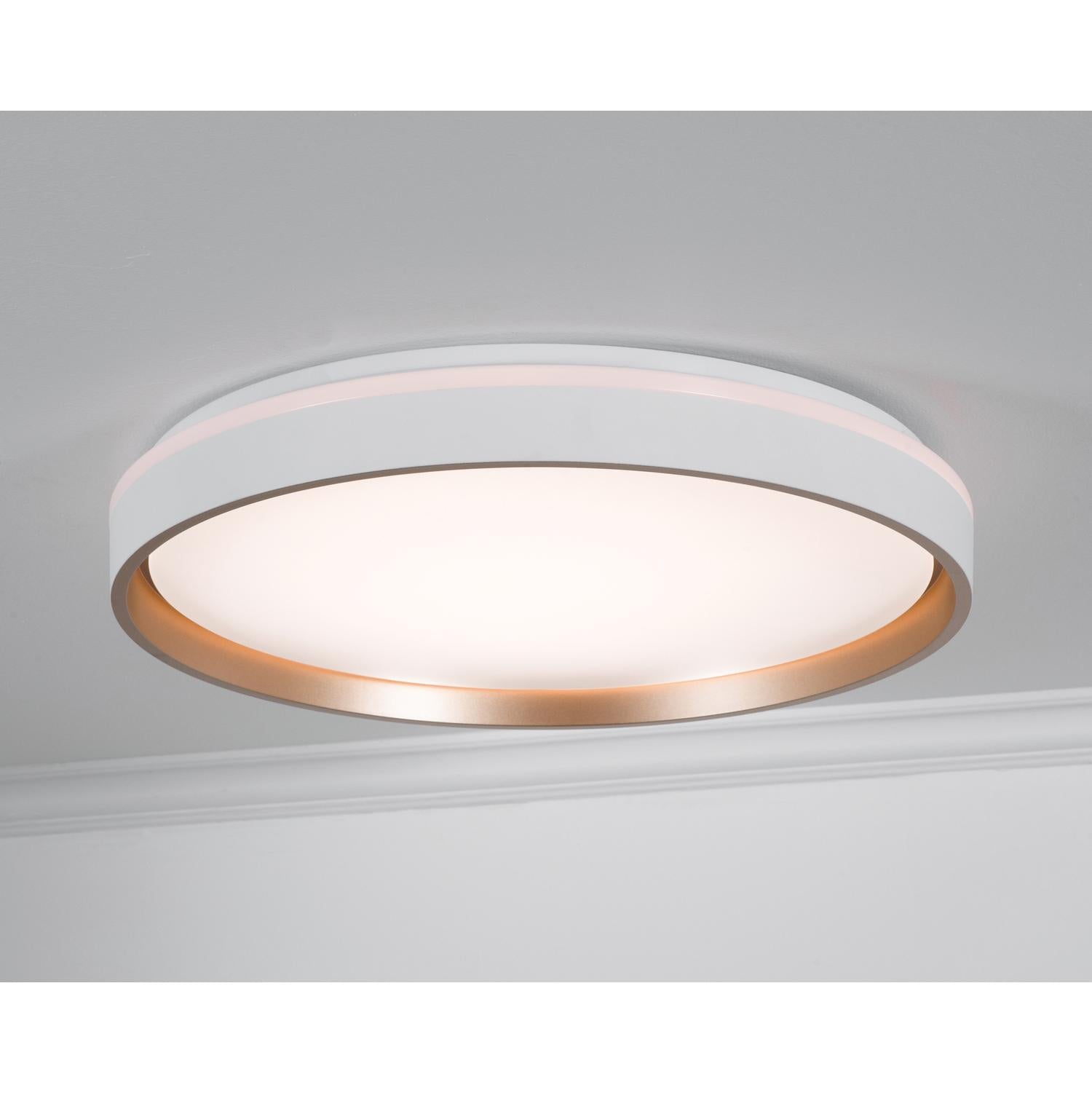 Rana 19'' LED Flush Mount Light, White Finish