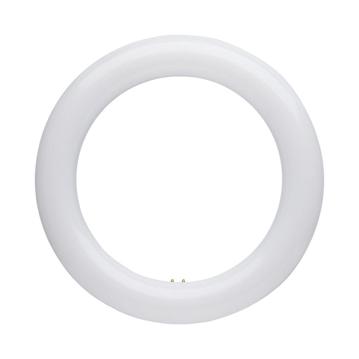 LED T9 Circline Tube, 8 in. FC8T9 Replacement, 1400 Lumens, 30K|40K|65K, Type A+B, G10Q Base - Bees Lighting