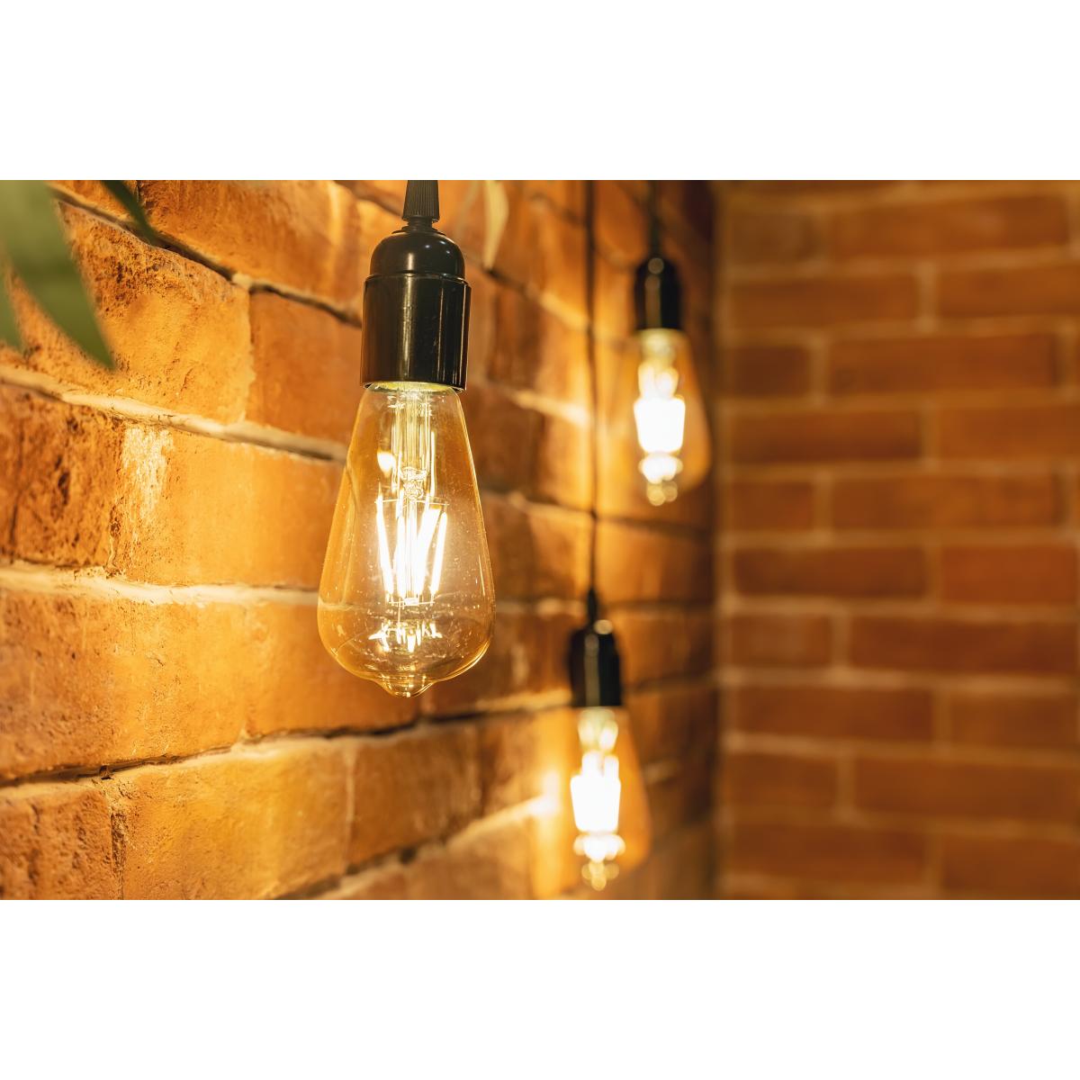 ST19 LED Vintage Bulb, 3 Watts, 220 Lumens, 2000K, E26 Medium Base, Amber Finish