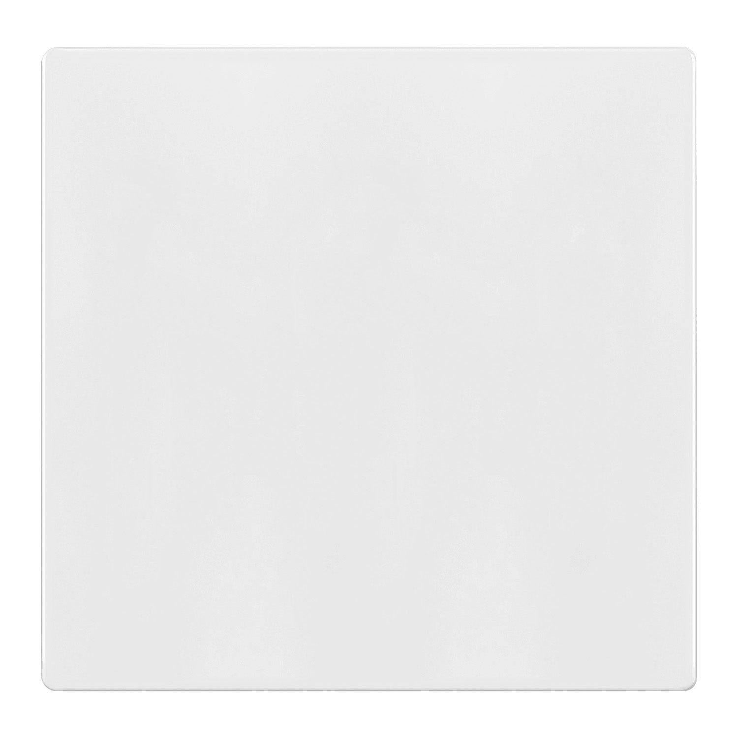 2-Gang Screwless Blank Wall Plate White - Bees Lighting