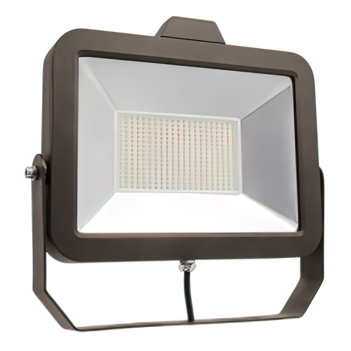 LED Flood Light, 100 Watts, 12300 Lumens, 5000K, 120-277V, Trunnion Mount - Bees Lighting