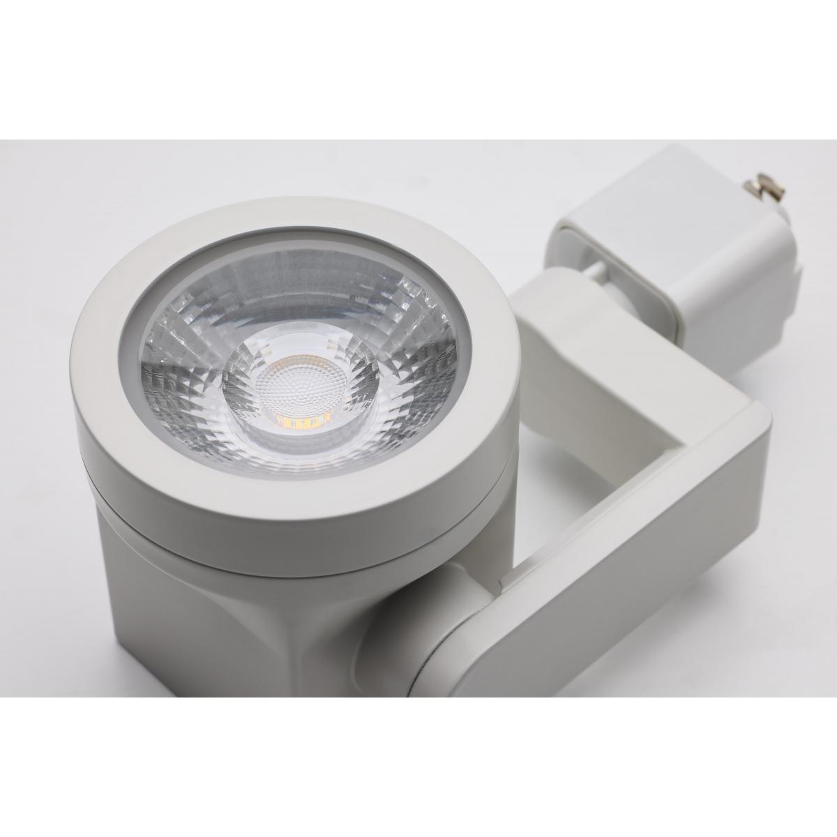 LED Lantern Style Track Head 12W 1020 Lumens 3000K, Halo, 36°, White