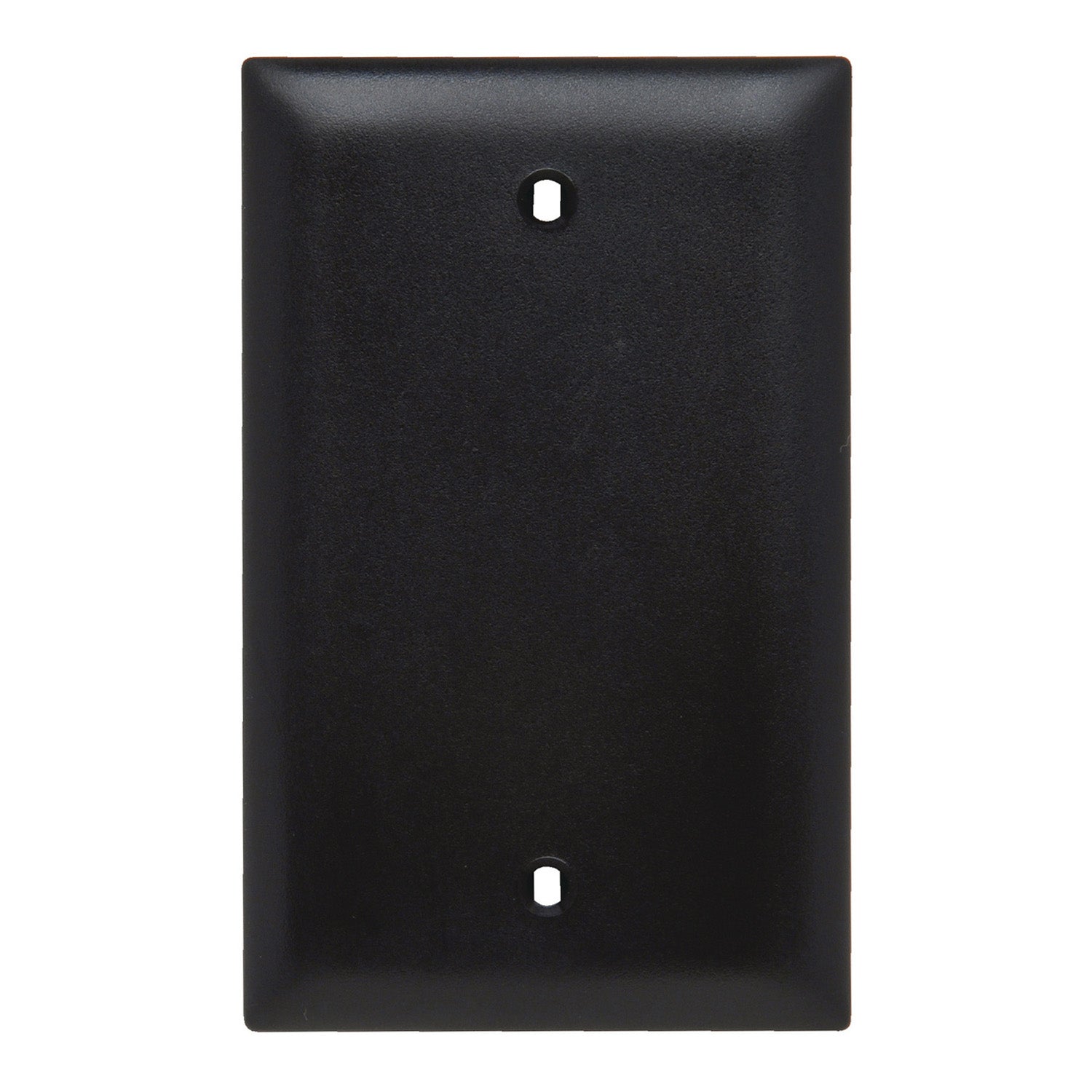 TradeMaster 1-Gang Blank Wall Plate, Box Mounted, Black