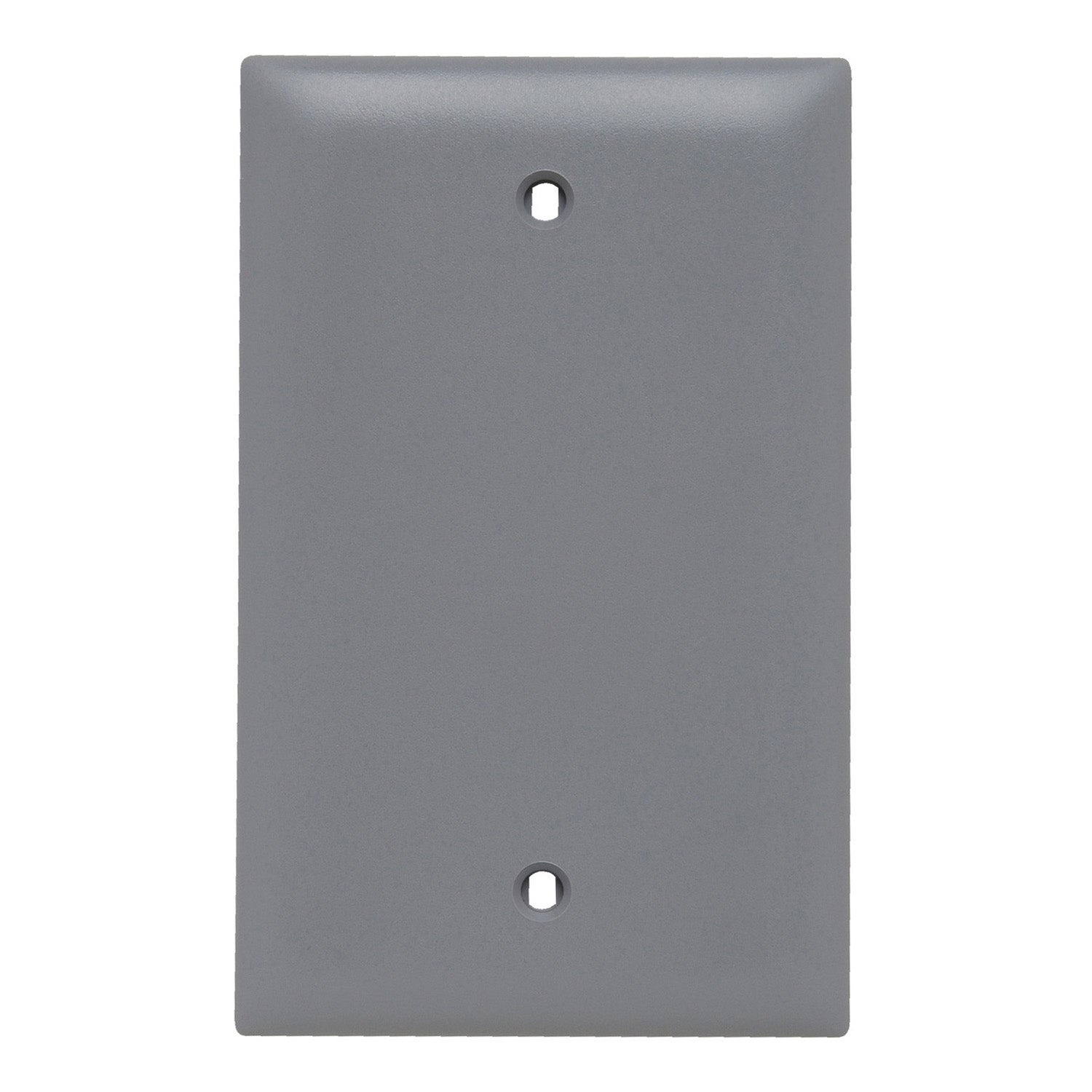 TradeMaster 1-Gang Blank Wall Plate, Box Mounted, Gray