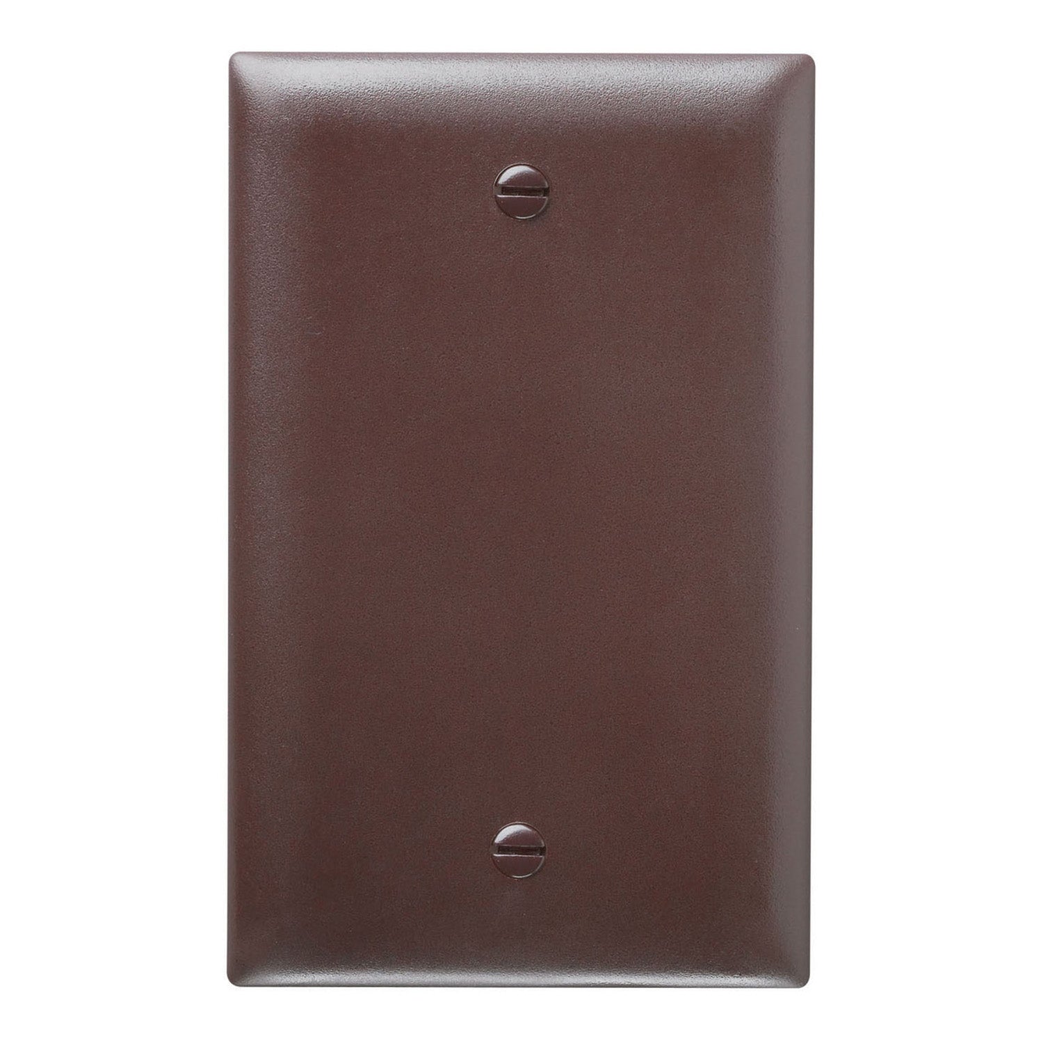 TradeMaster 1-Gang Blank Wall Plate, Box Mounted, Brown