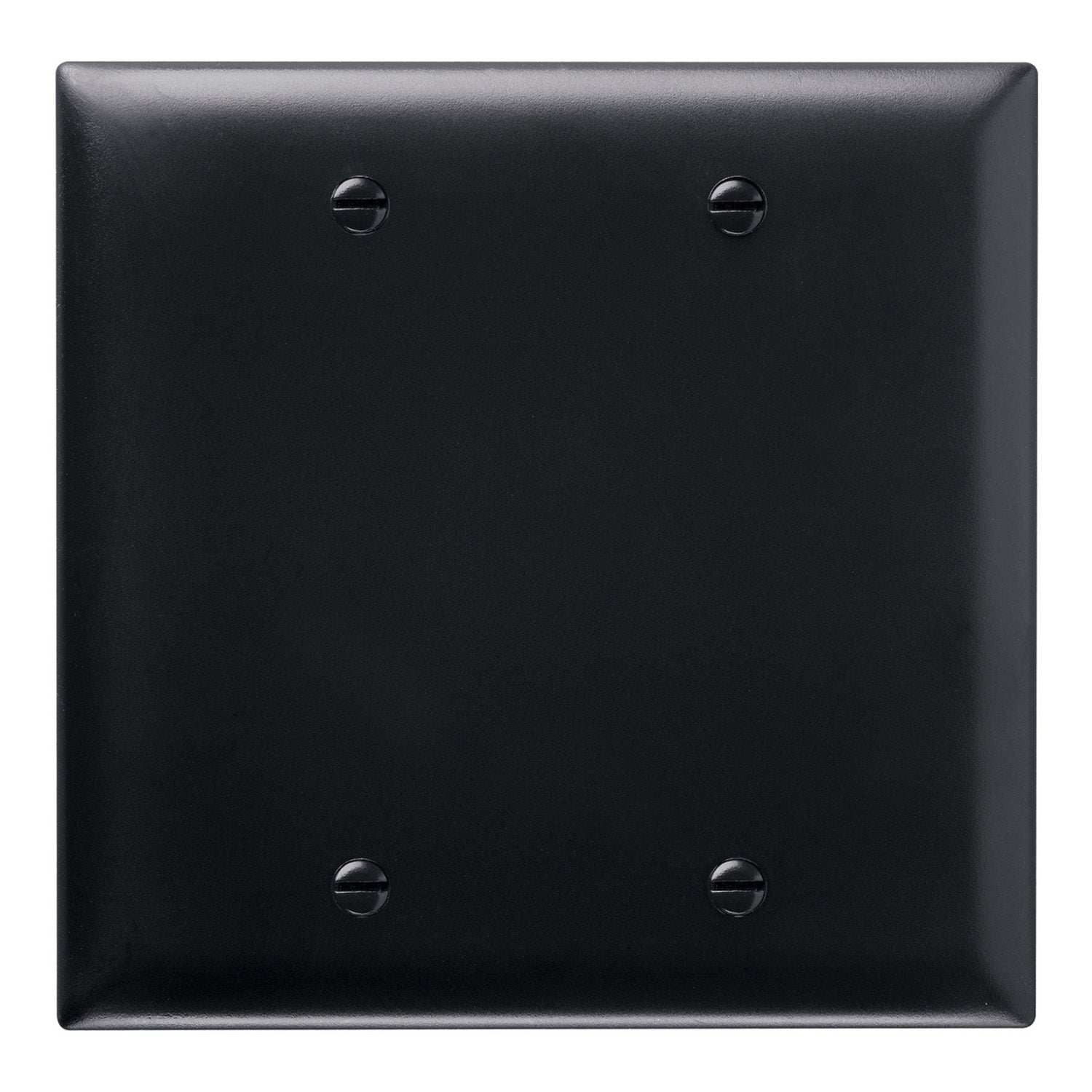 TradeMaster 2-Gang Blank Wall Plate, Box Mounted, Black