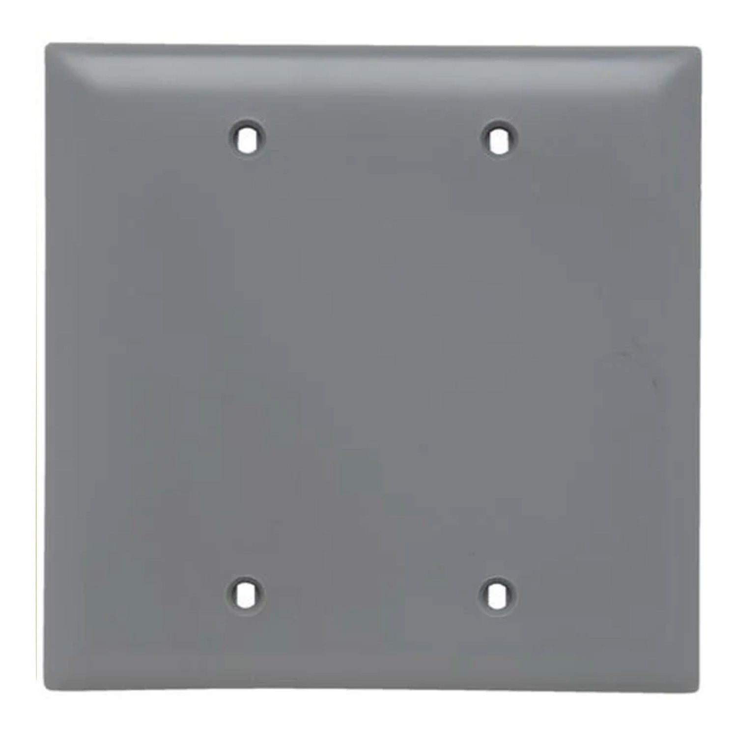 TradeMaster 2-Gang Blank Wall Plate, Box Mounted, Gray