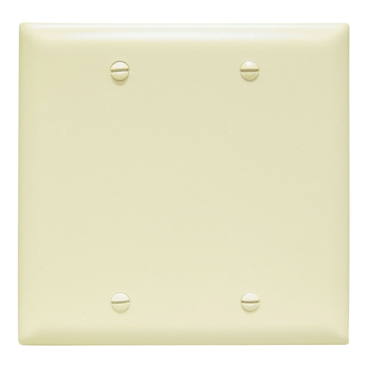 TradeMaster 2-Gang Blank Wall Plate, Box Mounted, Ivory