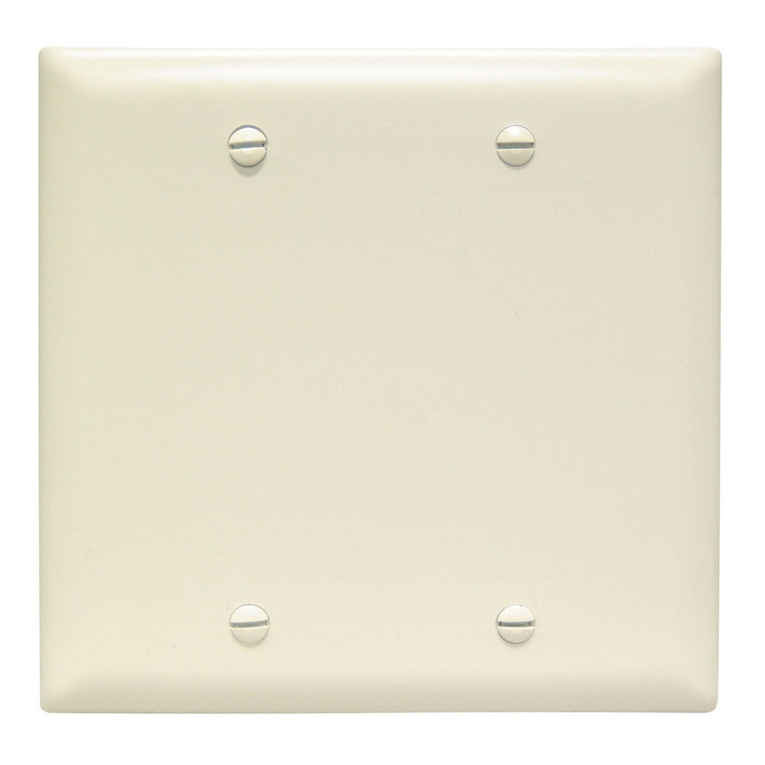 TradeMaster 2-Gang Blank Wall Plate