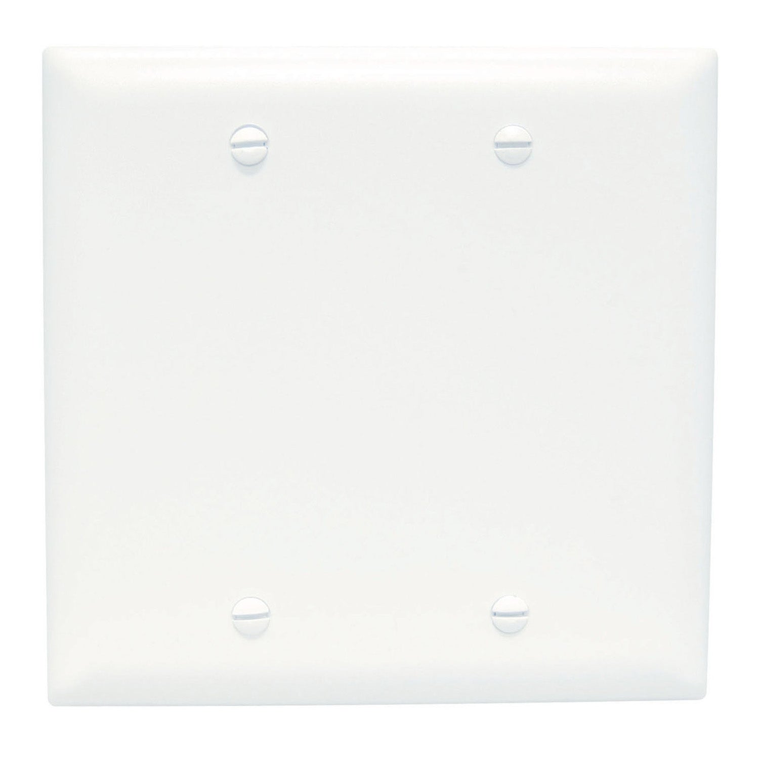 TradeMaster 2-Gang Blank Wall Plate, Box Mounted, White