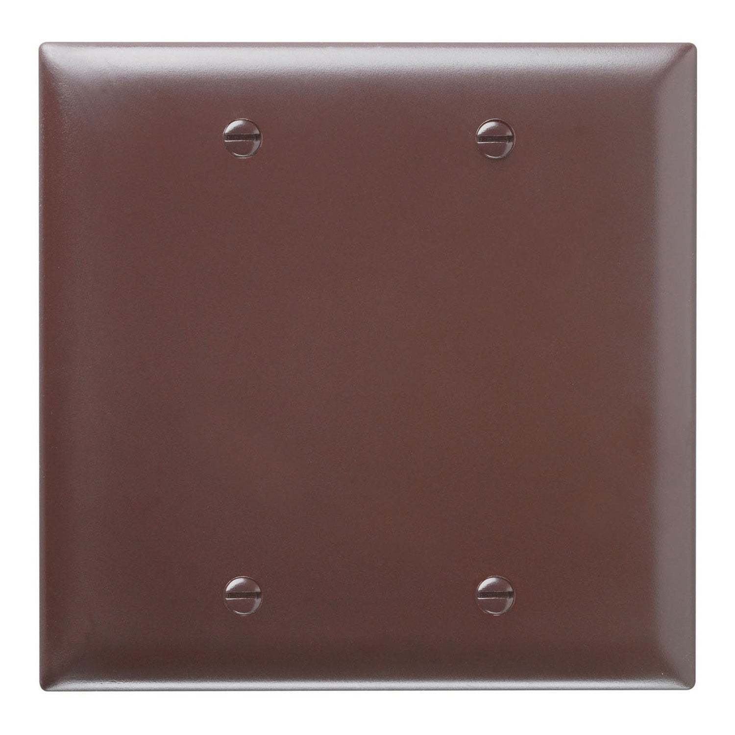 TradeMaster 2-Gang Blank Wall Plate, Box Mounted, Brown