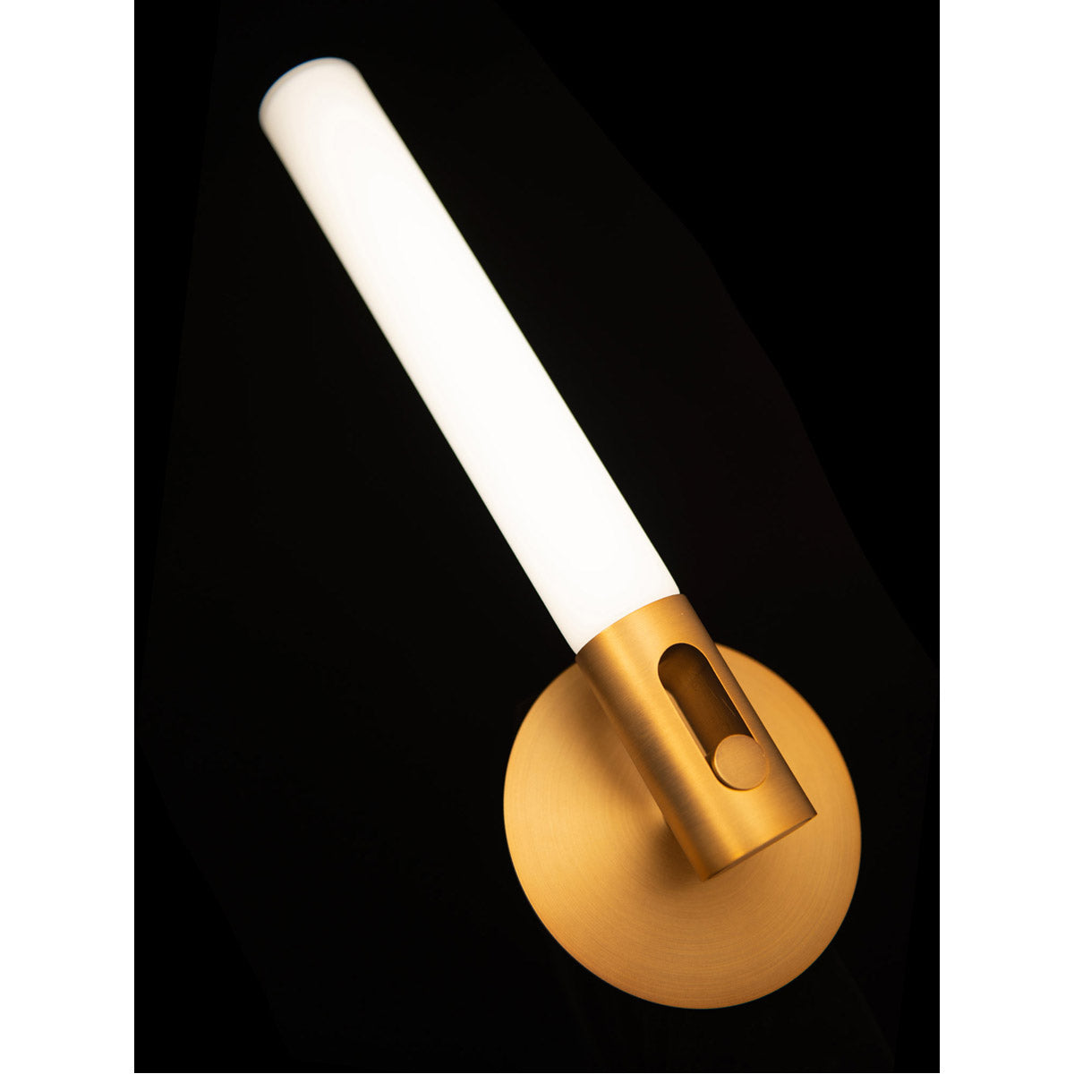 Clare 13 In. LED Armed Sconce 3000K Brass Finish - Bees Lighting