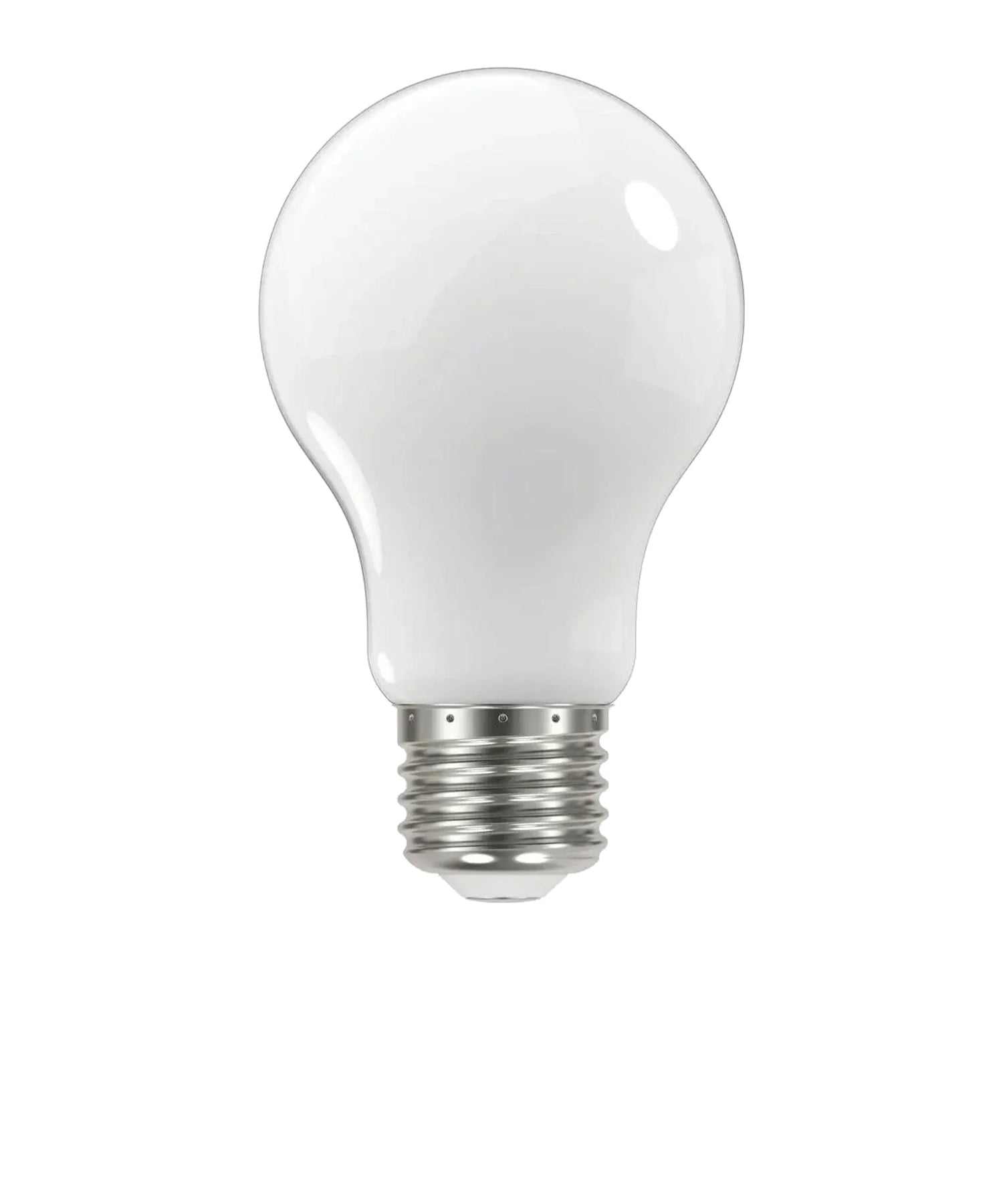 A19 LED Bulbs