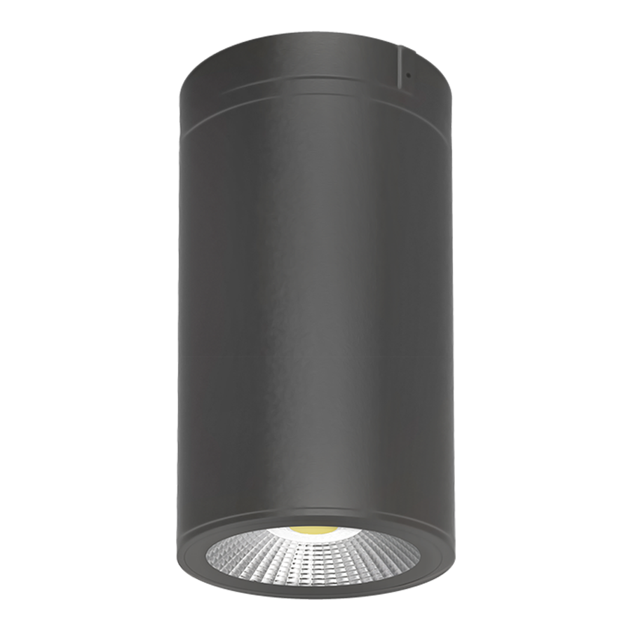 CD34 LED Surface/Pendant Mount Cylinder Selectable CCT